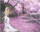 Forever Spring...