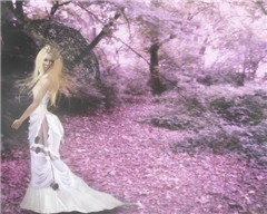 Forever Spring...