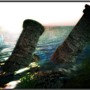 Columns