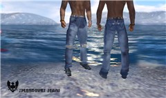 Splendeurs DMN WalkJeans