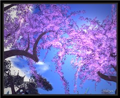 SAKURA ～桜～