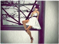 In the Window