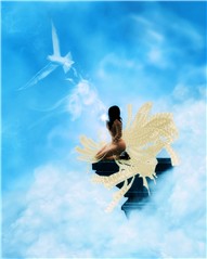 Birds Of Heaven