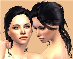 Gemini2
