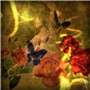 Spring Night
