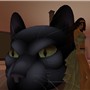 Meow!