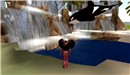 flying orca
