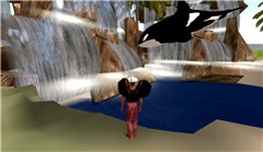 flying orca