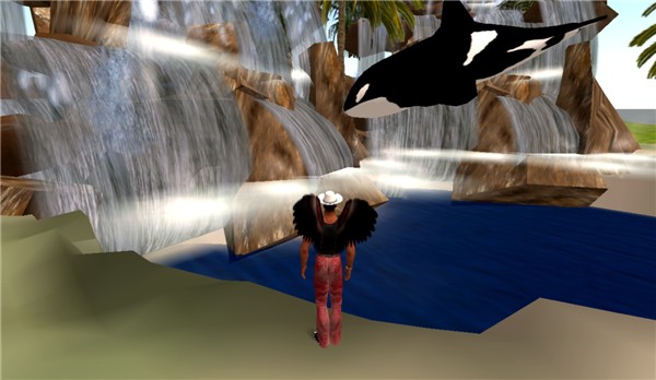 flying orca