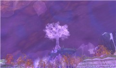 A dreamy white tree