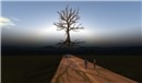 walk_through4