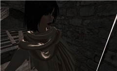 in shadows - Torley Olmstead