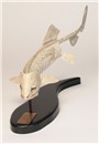 fishskeleton