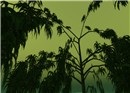 Greenery