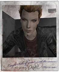Seiki Polaroid