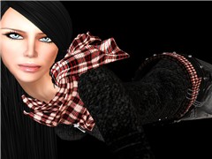Snapshot_023-2