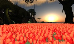 +C4u Gallery_006