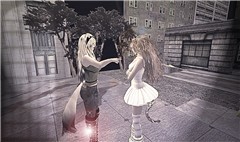 Kitty Fight