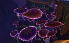 Neon Mushrooms