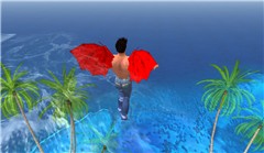In fly