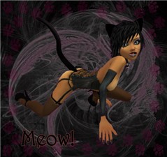 kittycontest1