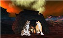 dog_010