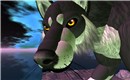 sun_009