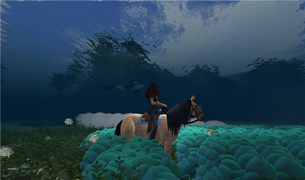 Exploring a coral reef in the wee hours...