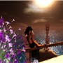 Stars and the sea