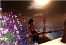 Stars and the sea