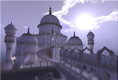 Snapshot_024