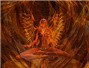 Pheonix 3
