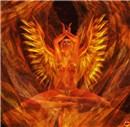 Pheonix 4