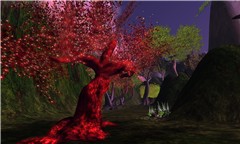 Forbidden Forest 5