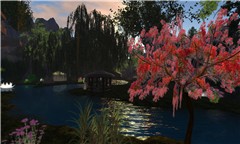 Forbidden Forest 2