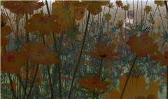 Monet's Poppy Field