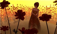 The Poppy Field Dress