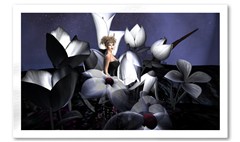 "the flower patch"