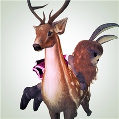 Snapshot_013