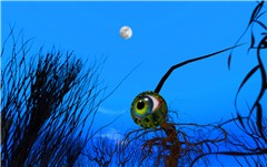 Eyeing The Moon