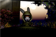 CoolViewer-2009-04-01-02-24-07-67