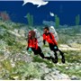 Believe Scuba