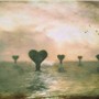 Cuore di Amore