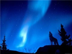 medium_widewallpapers_eu_1206953132