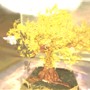 Boxed tree1
