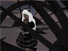 A bird in the basket