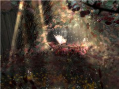 fairy tail
