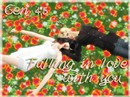 Falling in love with you