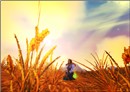 My new rogue!