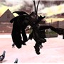 Back off pigeons!